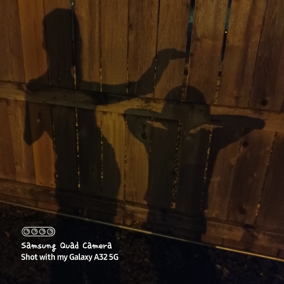 Meet your Posher, Candice - Picture 2 of 16